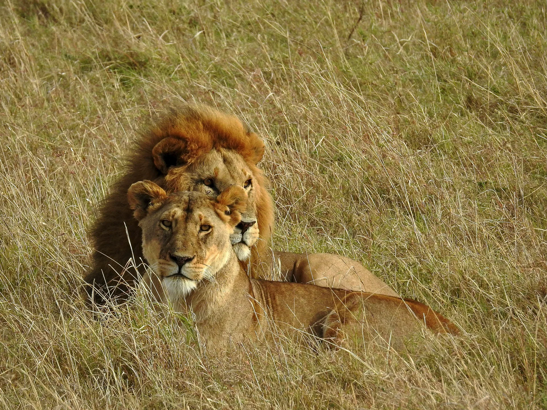 Day 3 Murchison game drive